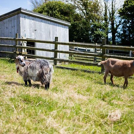Sharlands Farm Holiday Cottages Бюд Екстериор снимка